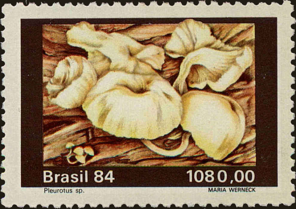 Front view of Brazil 1957 collectors stamp