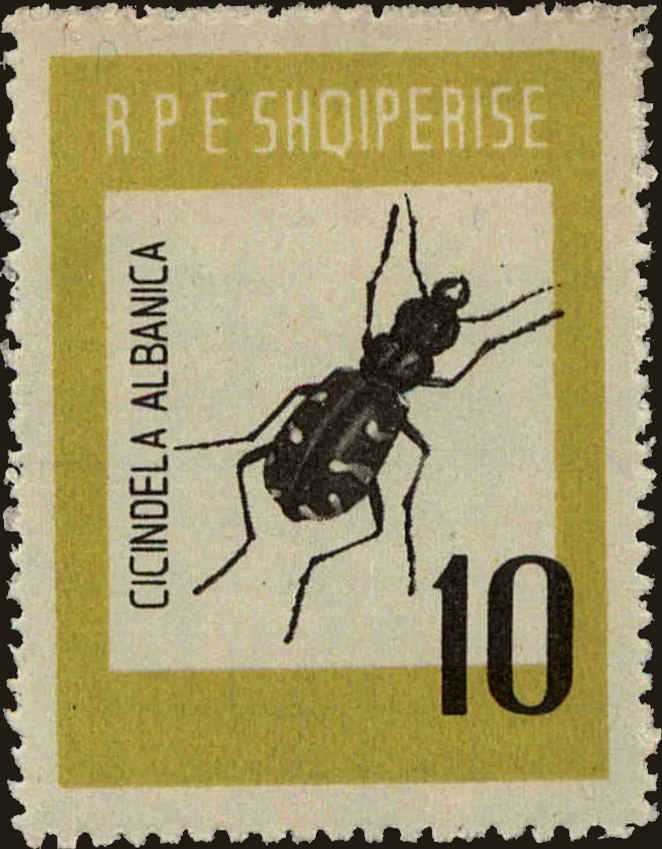 Front view of Albania 663 collectors stamp