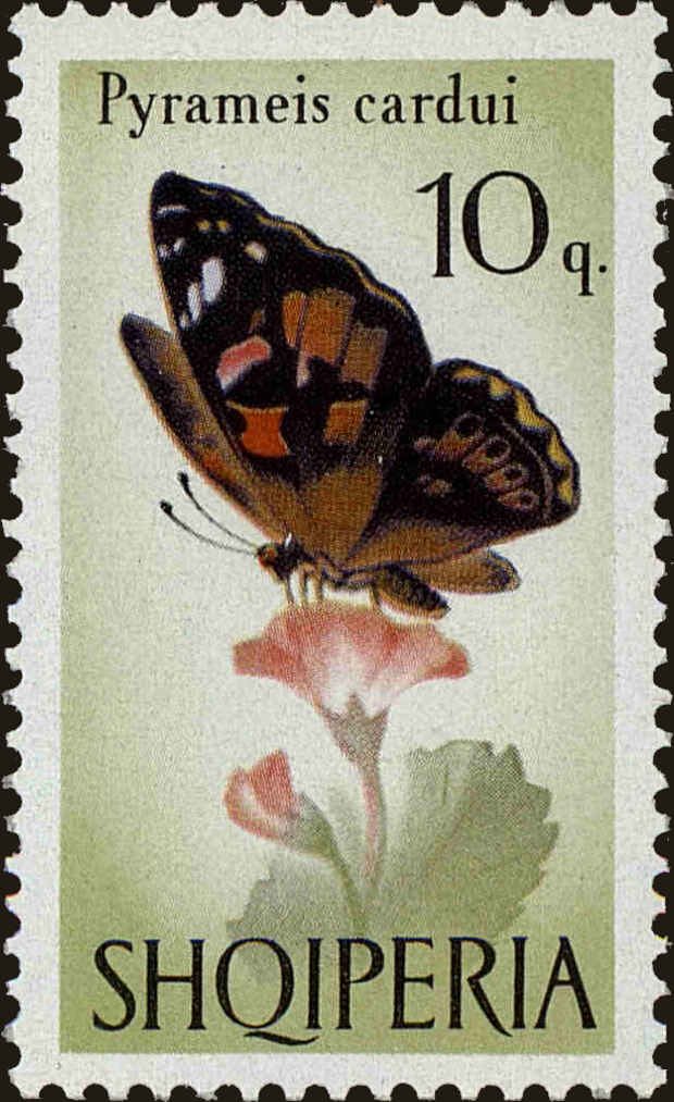Front view of Albania 922 collectors stamp