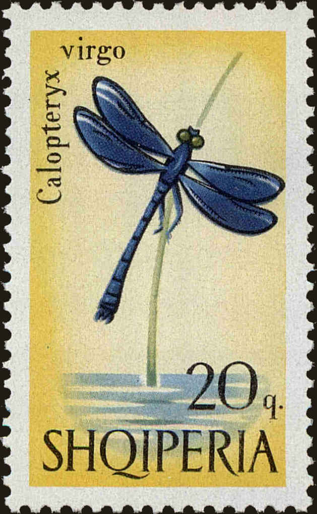 Front view of Albania 923 collectors stamp