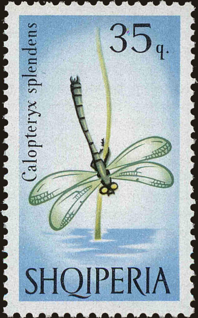 Front view of Albania 925 collectors stamp