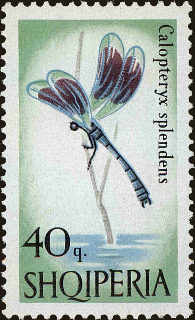 Front view of Albania 926 collectors stamp