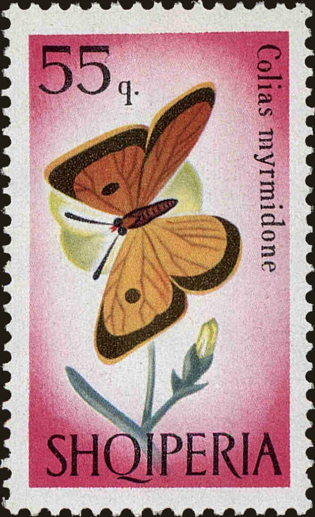 Front view of Albania 928 collectors stamp