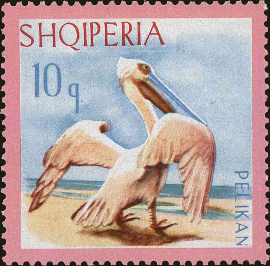 Front view of Albania 1012 collectors stamp