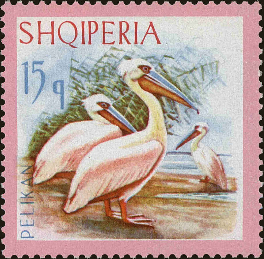 Front view of Albania 1013 collectors stamp