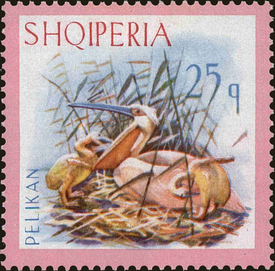 Front view of Albania 1014 collectors stamp