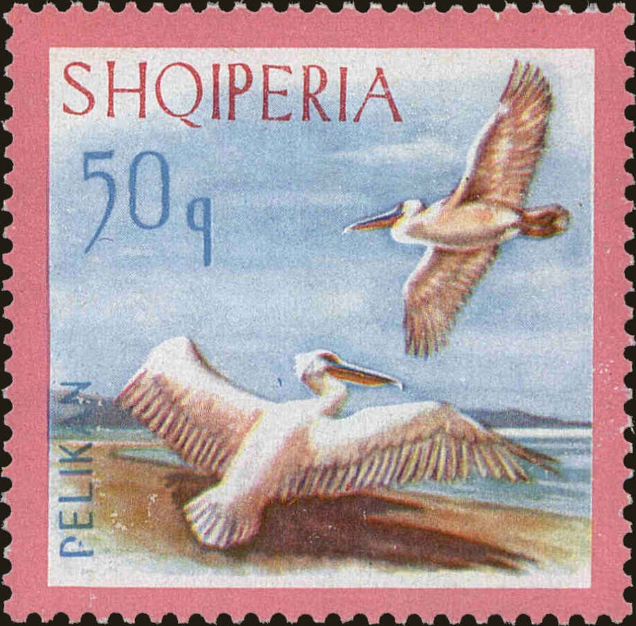 Front view of Albania 1015 collectors stamp