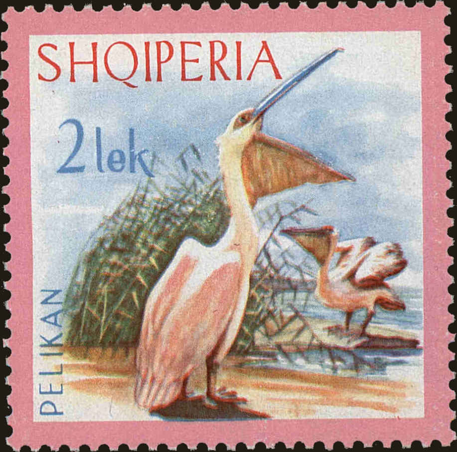 Front view of Albania 1016 collectors stamp