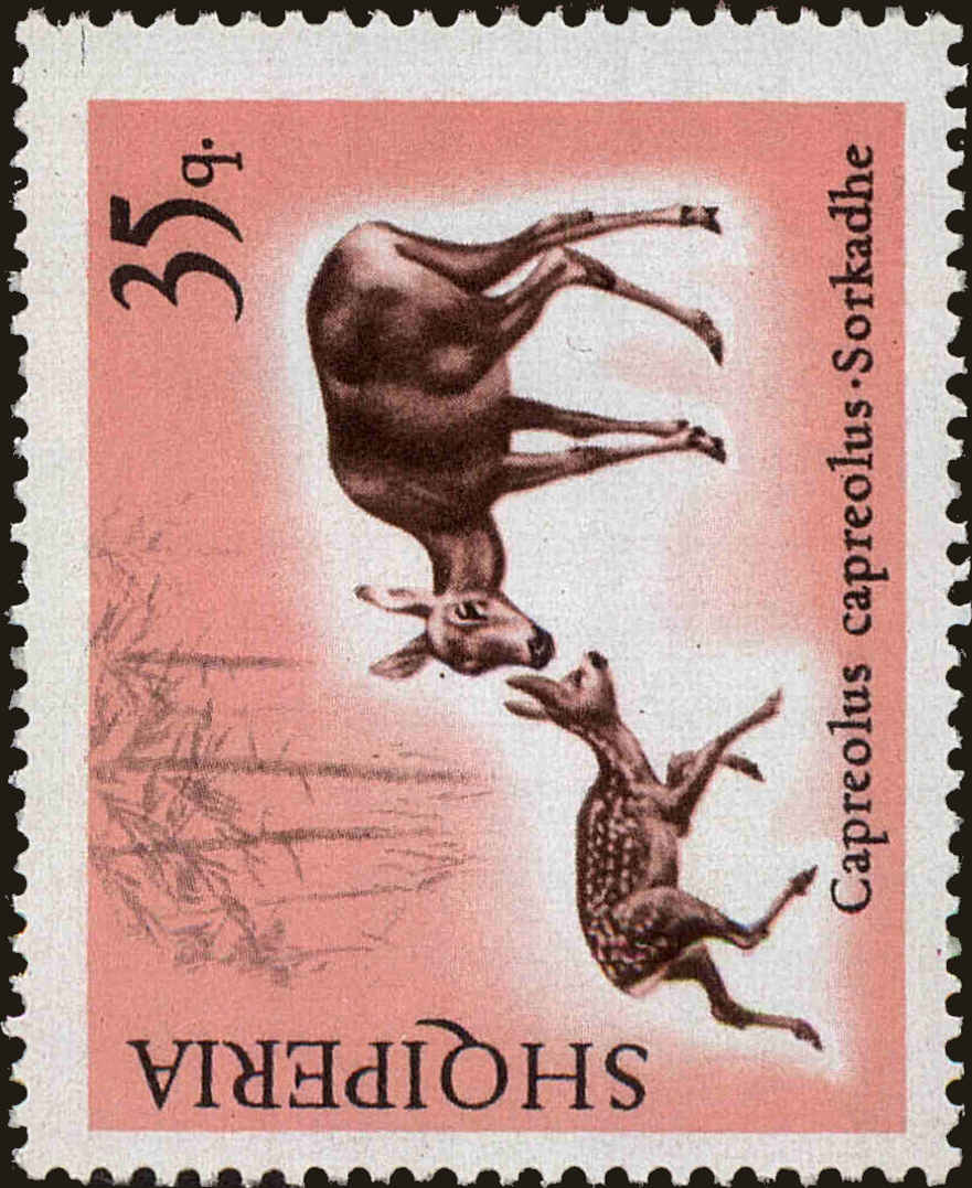 Front view of Albania 1047 collectors stamp