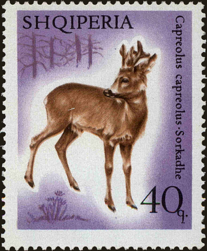 Front view of Albania 1048 collectors stamp