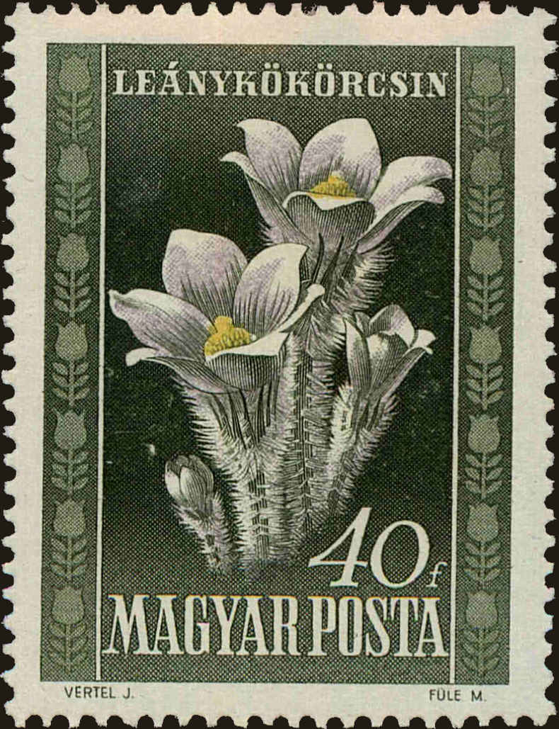 Front view of Hungary 907 collectors stamp