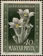 Stamp ID#300187 (1-311-203)