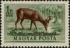 Stamp ID#300229 (1-311-245)