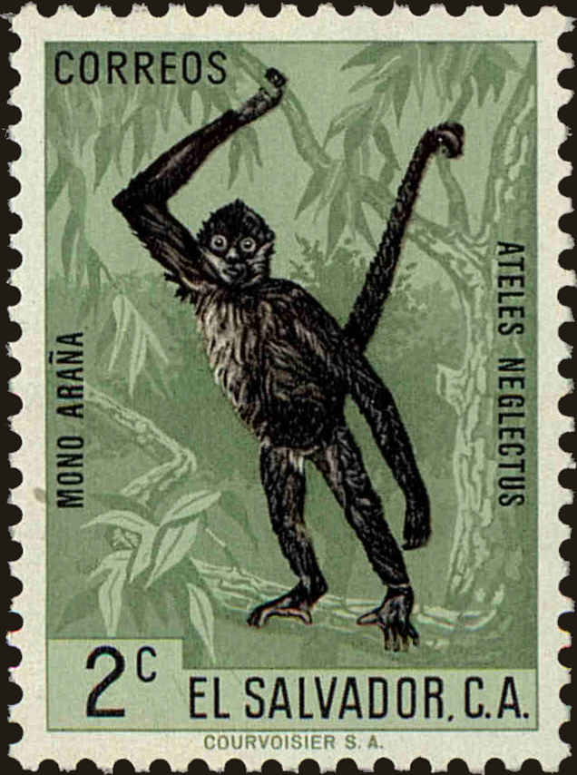 Front view of Salvador, El 739 collectors stamp