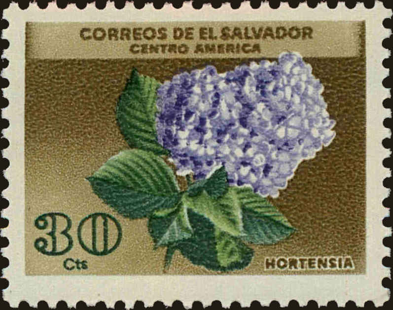 Front view of Salvador, El 754 collectors stamp