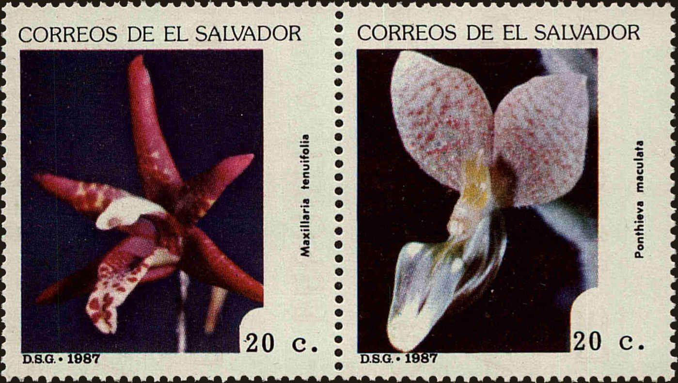 Front view of Salvador, El 1132a collectors stamp