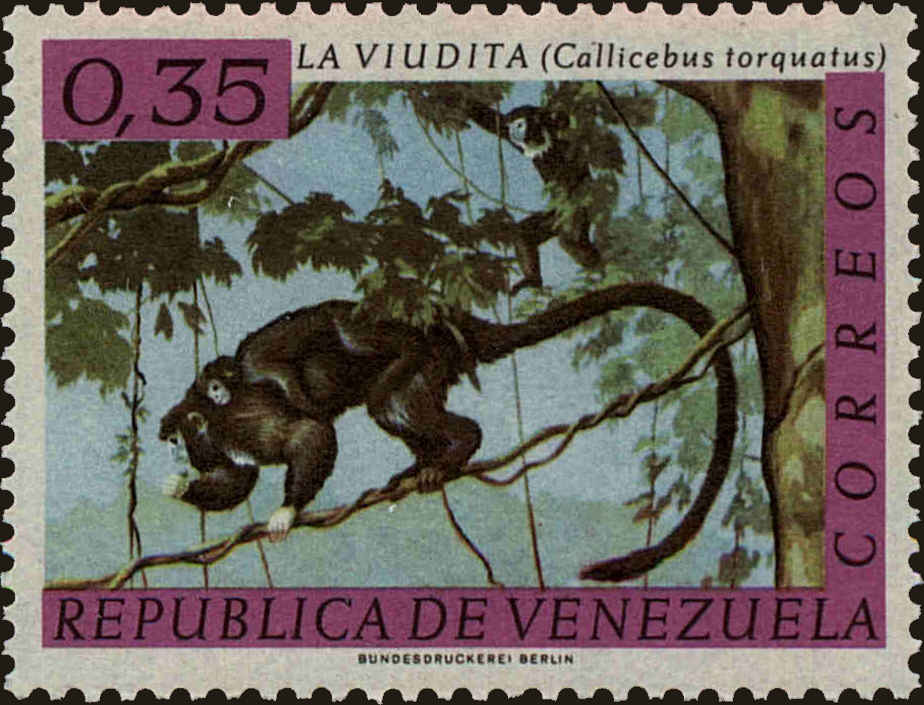 Front view of Venezuela 828 collectors stamp