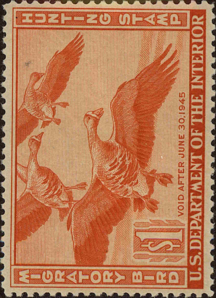 Front view of United States RW11 collectors stamp