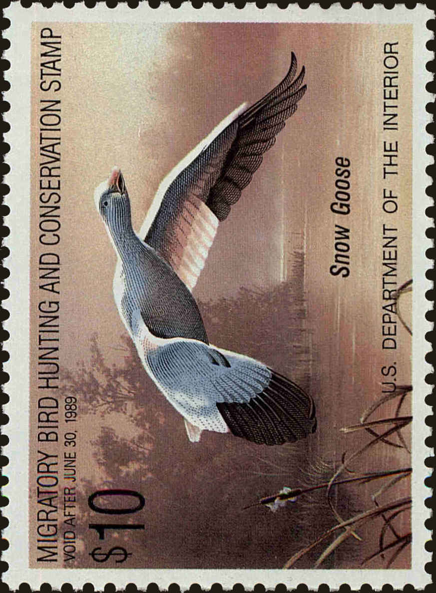 Front view of United States RW55 collectors stamp