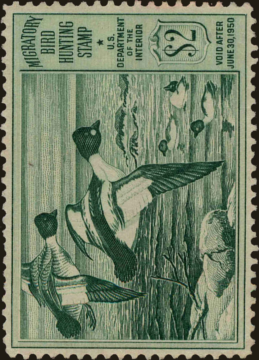 Front view of United States RW16 collectors stamp