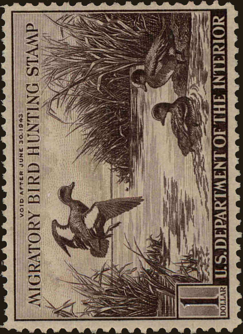 Front view of United States RW9 collectors stamp