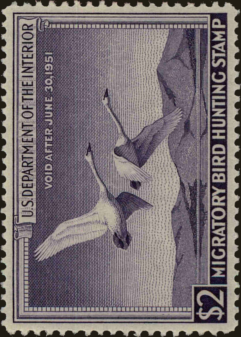 Front view of United States RW17 collectors stamp