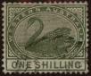 Stamp ID#308486 (1-326-81)