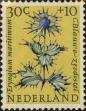 Stamp ID#331224 (1-344-2197)