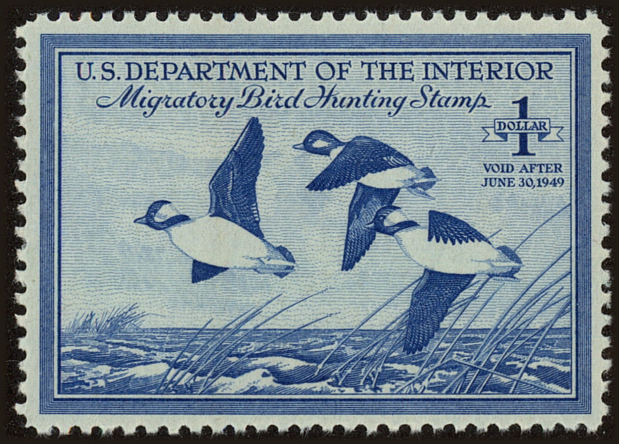 Front view of United States RW15 collectors stamp
