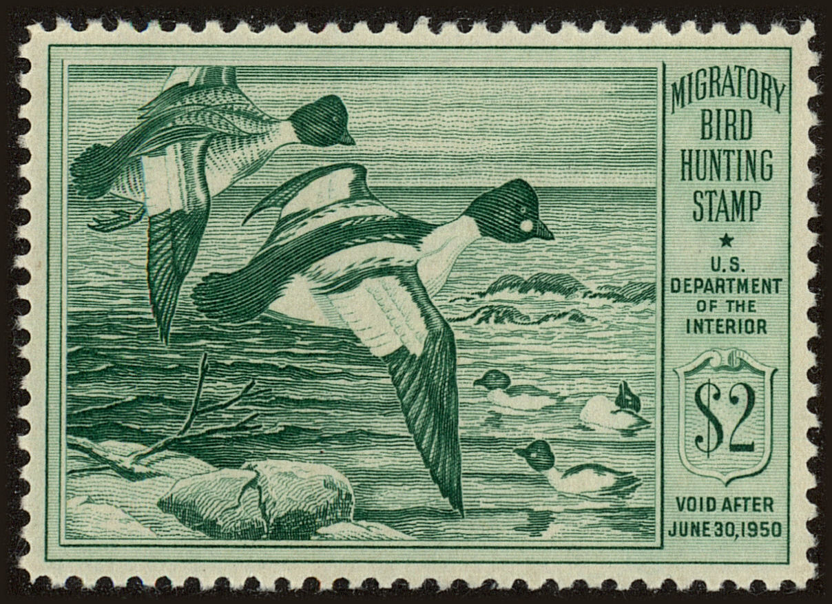 Front view of United States RW16 collectors stamp