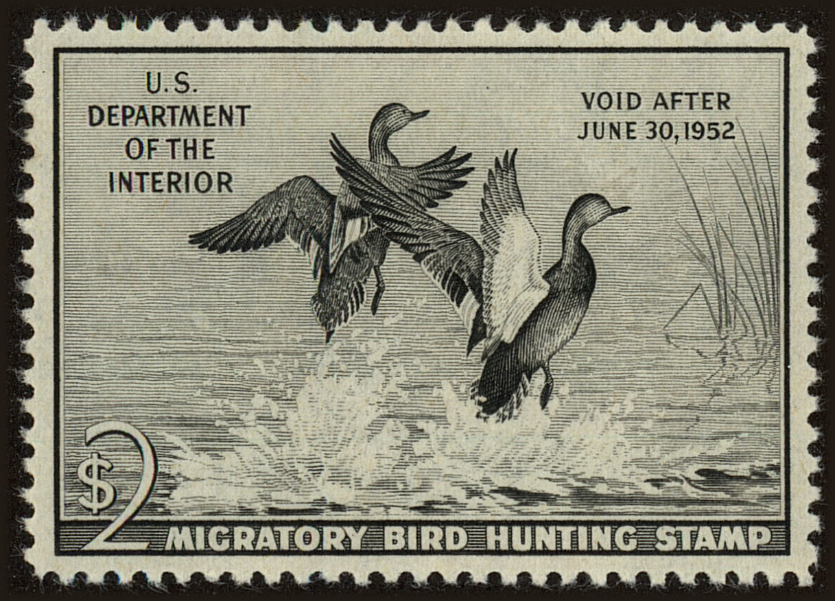 Front view of United States RW18 collectors stamp