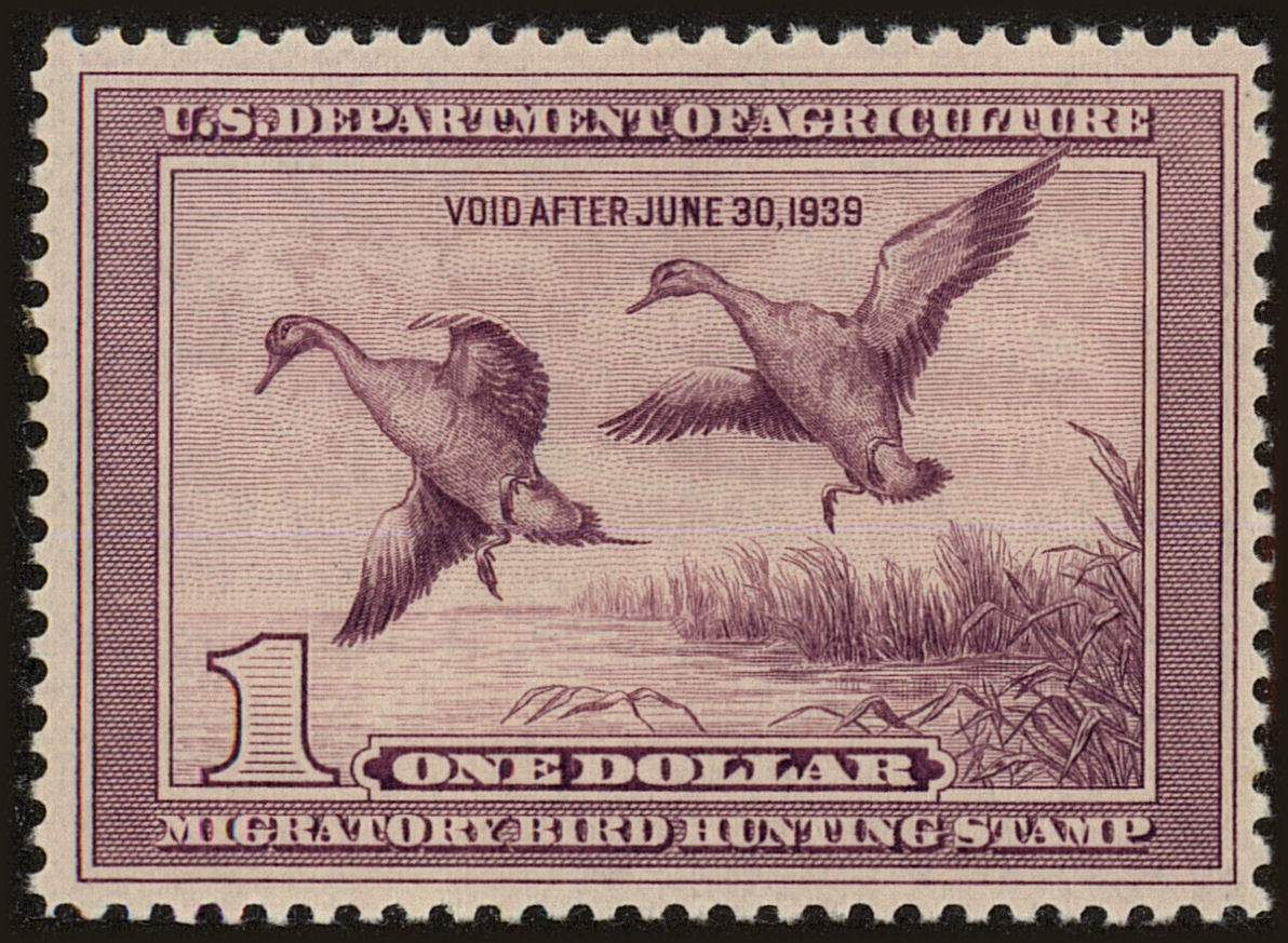 Front view of United States RW5 collectors stamp
