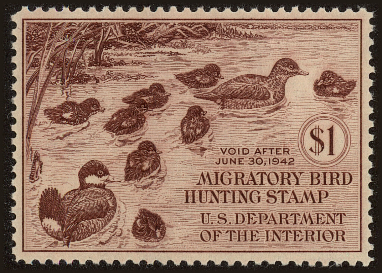 Front view of United States RW8 collectors stamp