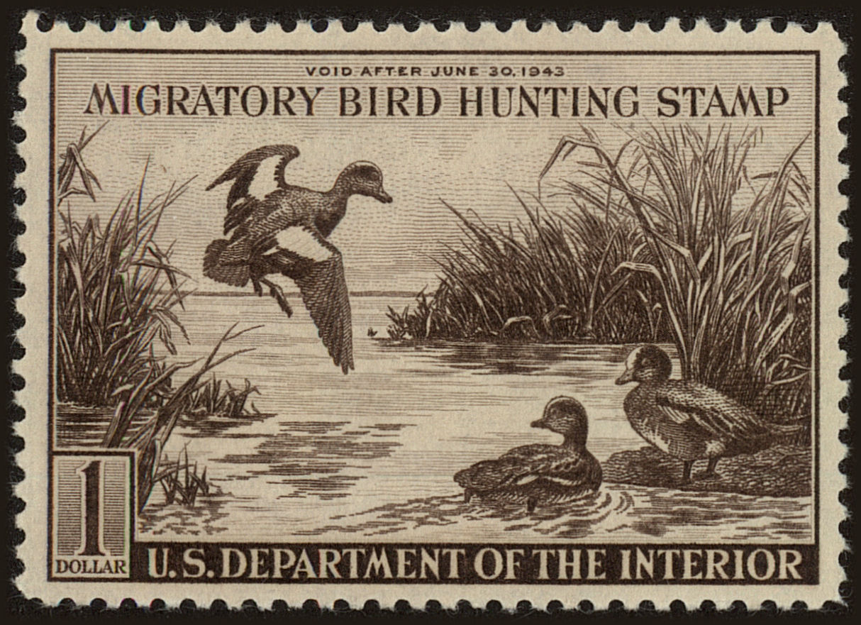 Front view of United States RW9 collectors stamp