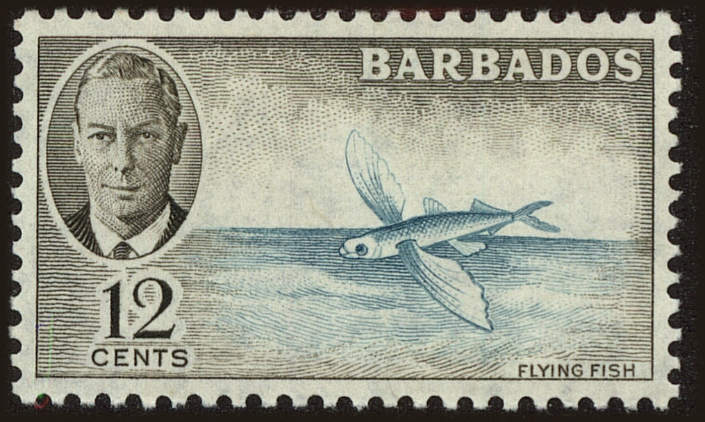 Front view of Barbados 222 collectors stamp