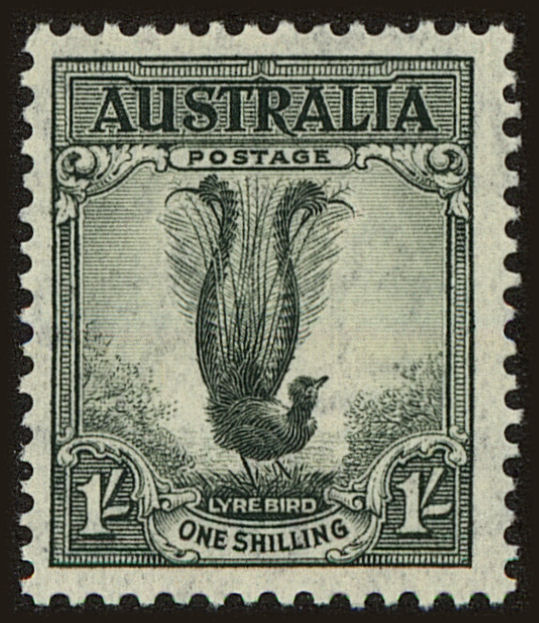 Front view of Australia 175a collectors stamp