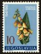 Stamp ID#58900 (1-66-1089)