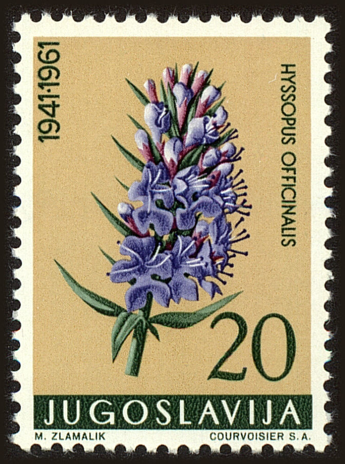Front view of Kingdom of Yugoslavia 599 collectors stamp