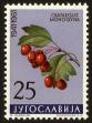 Stamp ID#58903 (1-66-1092)