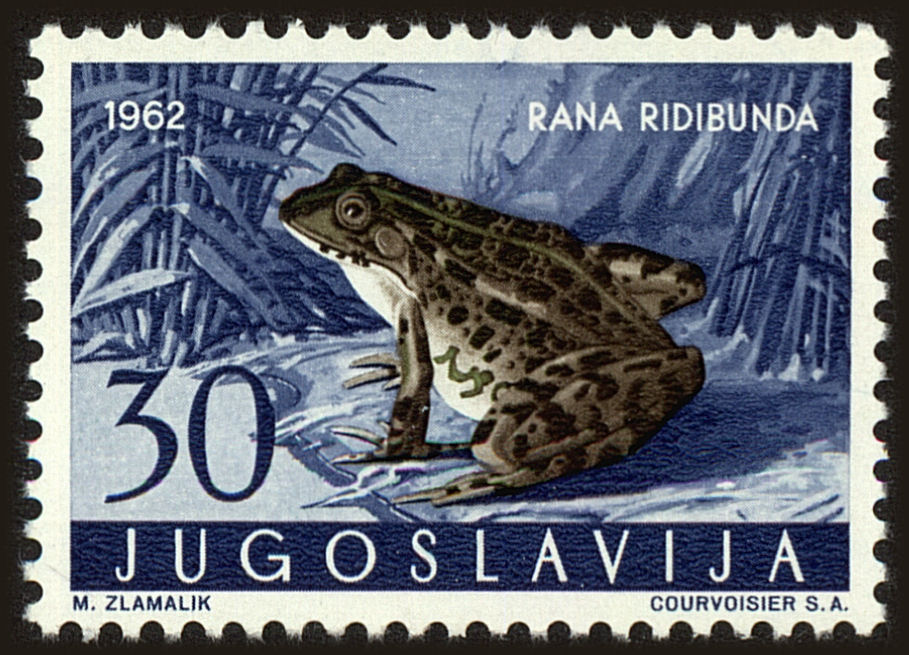 Front view of Kingdom of Yugoslavia 666 collectors stamp