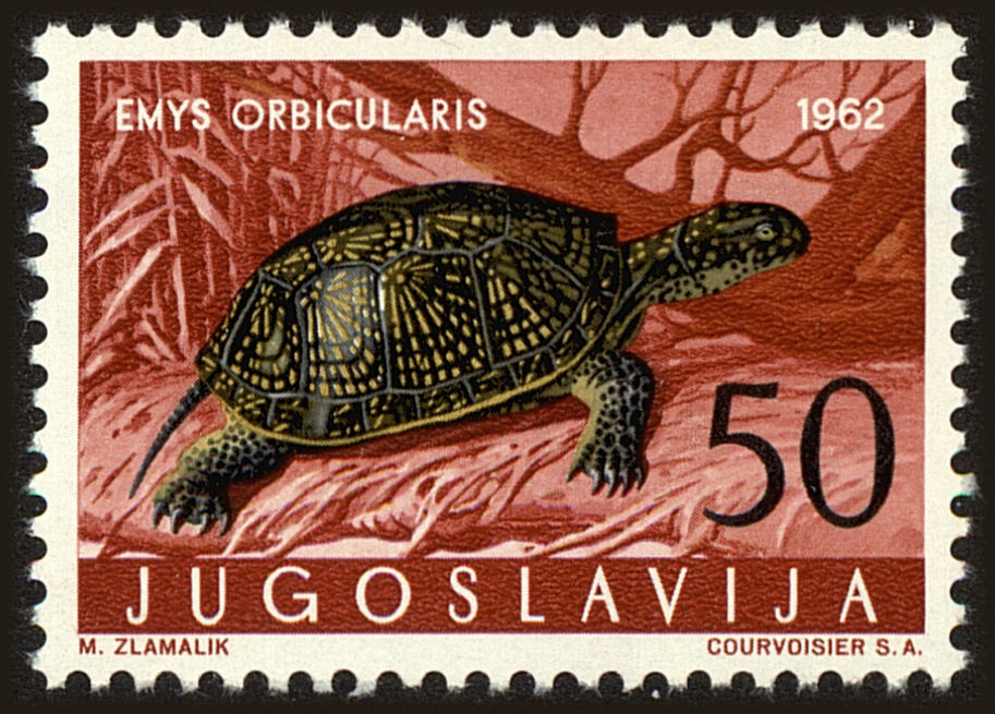 Front view of Kingdom of Yugoslavia 667 collectors stamp