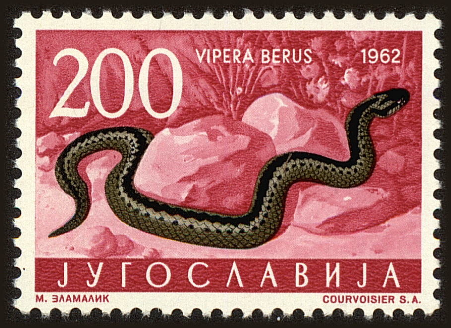 Front view of Kingdom of Yugoslavia 671 collectors stamp