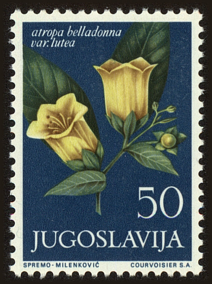 Front view of Kingdom of Yugoslavia 775 collectors stamp