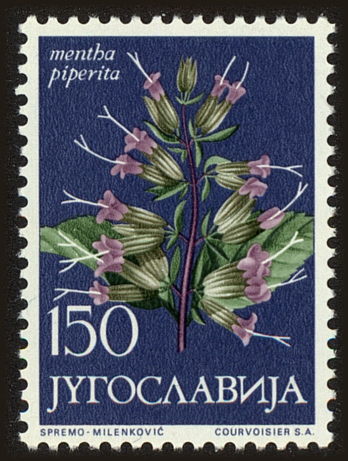 Front view of Kingdom of Yugoslavia 776 collectors stamp