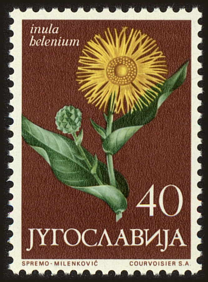 Front view of Kingdom of Yugoslavia 774 collectors stamp