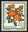 Stamp ID#58516 (1-66-705)