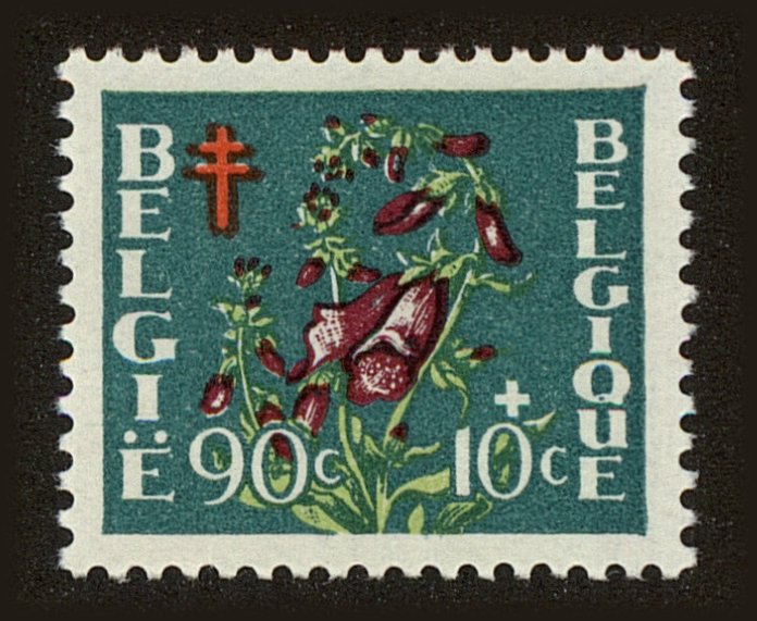 Front view of Belgium B487 collectors stamp