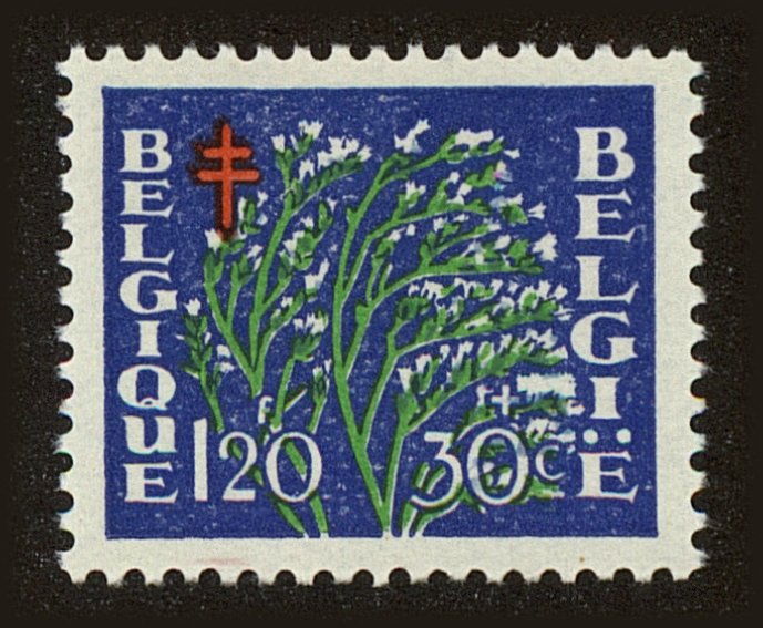 Front view of Belgium B488 collectors stamp