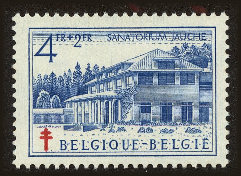 Front view of Belgium B490 collectors stamp
