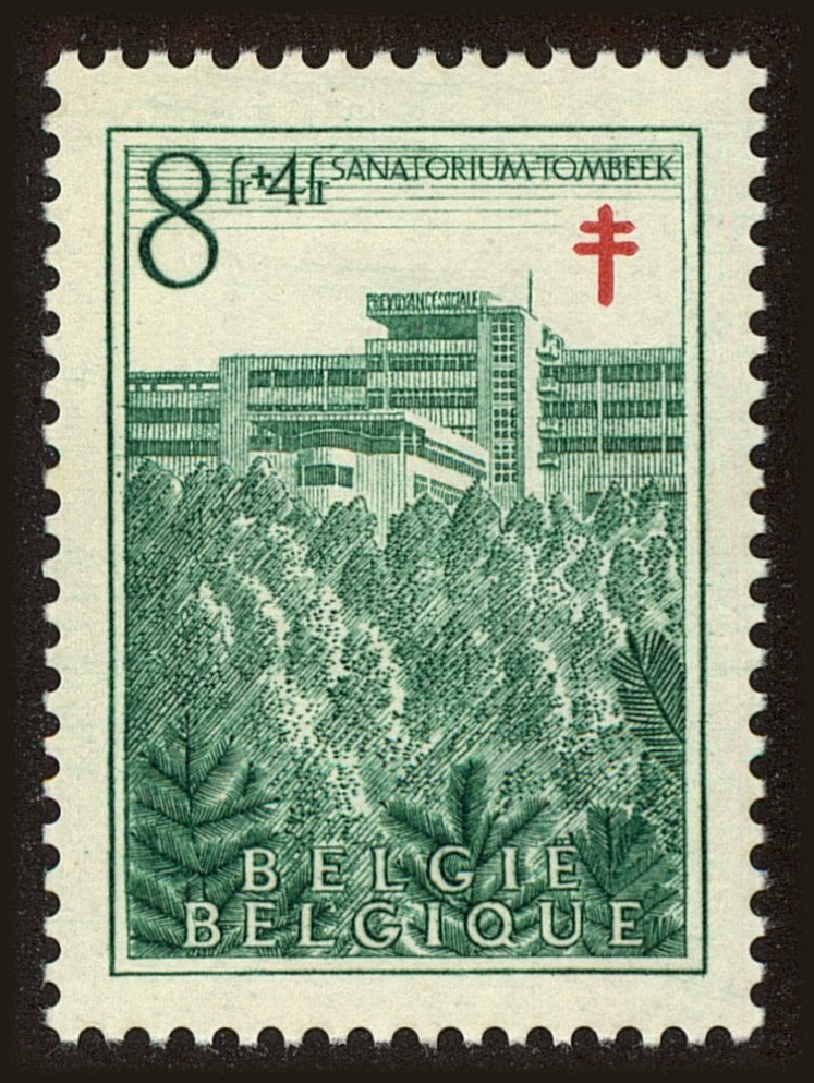 Front view of Belgium B491 collectors stamp